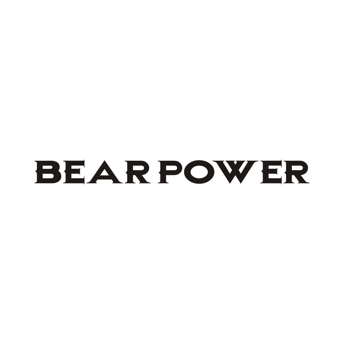 大鱼知产_BEARPOWER