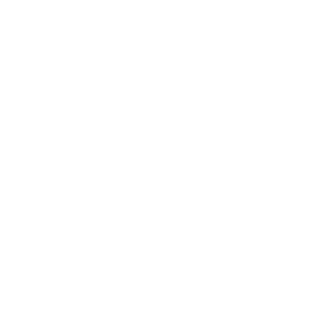 大鱼知产_盛臣 SENCHIE