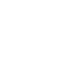 大鱼知产_IBW