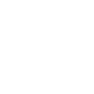 大鱼知产_帕尔麦斯 PYRAMUS