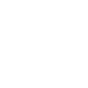 大鱼知产_择析盾 ZEXDUN