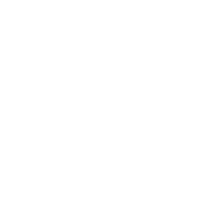 大鱼知产_质声 ZUQSYR