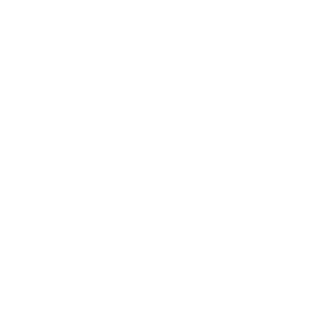 大鱼知产_微风兰杜 LANDALE ·BREEZE·