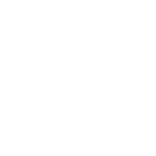 大鱼知产_VOXY