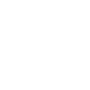 大鱼知产_澳宜 OWLYIER