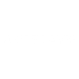 大鱼知产_AKITE LAVIE