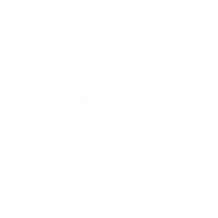 dingfeiyu