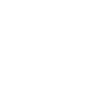红色浪漫 Red romantic