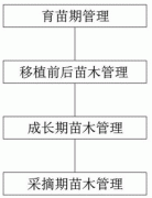 一种生态有机茶种植管理方法与流程