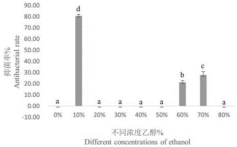 一种高山红景天可湿性粉剂及应用的制作方法