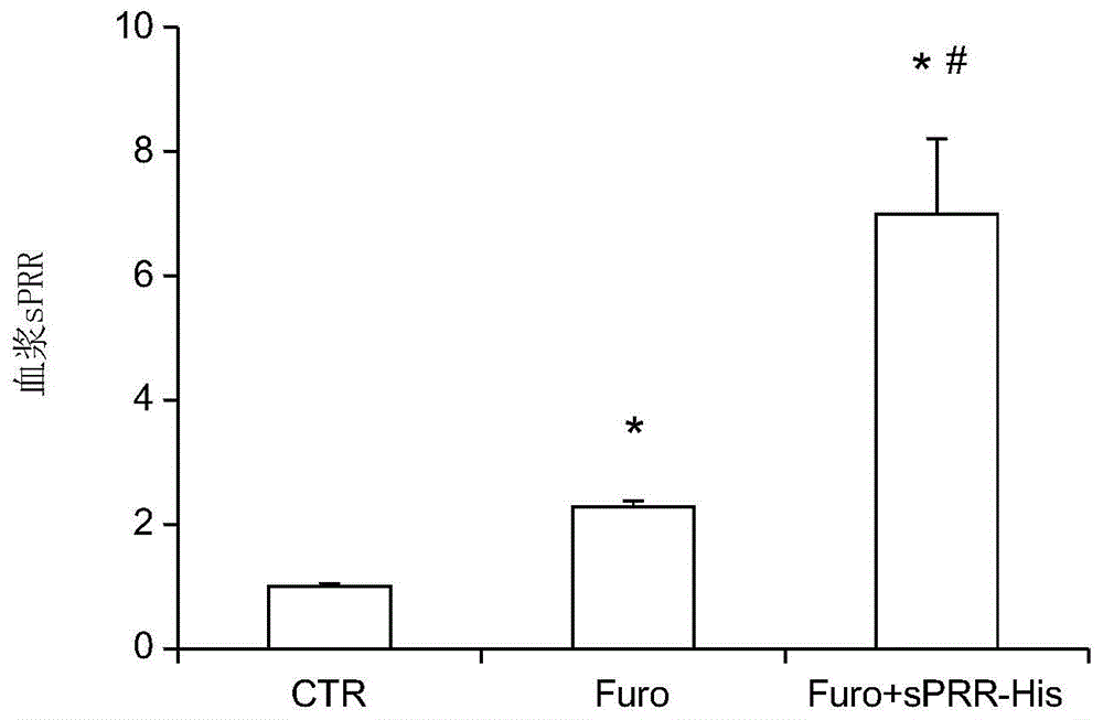 sPRR-His对小鼠呋塞米饮水诱导的肾素活性影响的试验方法与流程