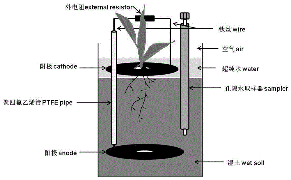 土壤微生物燃料电池减少水稻吸收土壤重金属的方法与流程