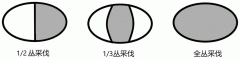 一种硬头黄竹的采伐方法与流程